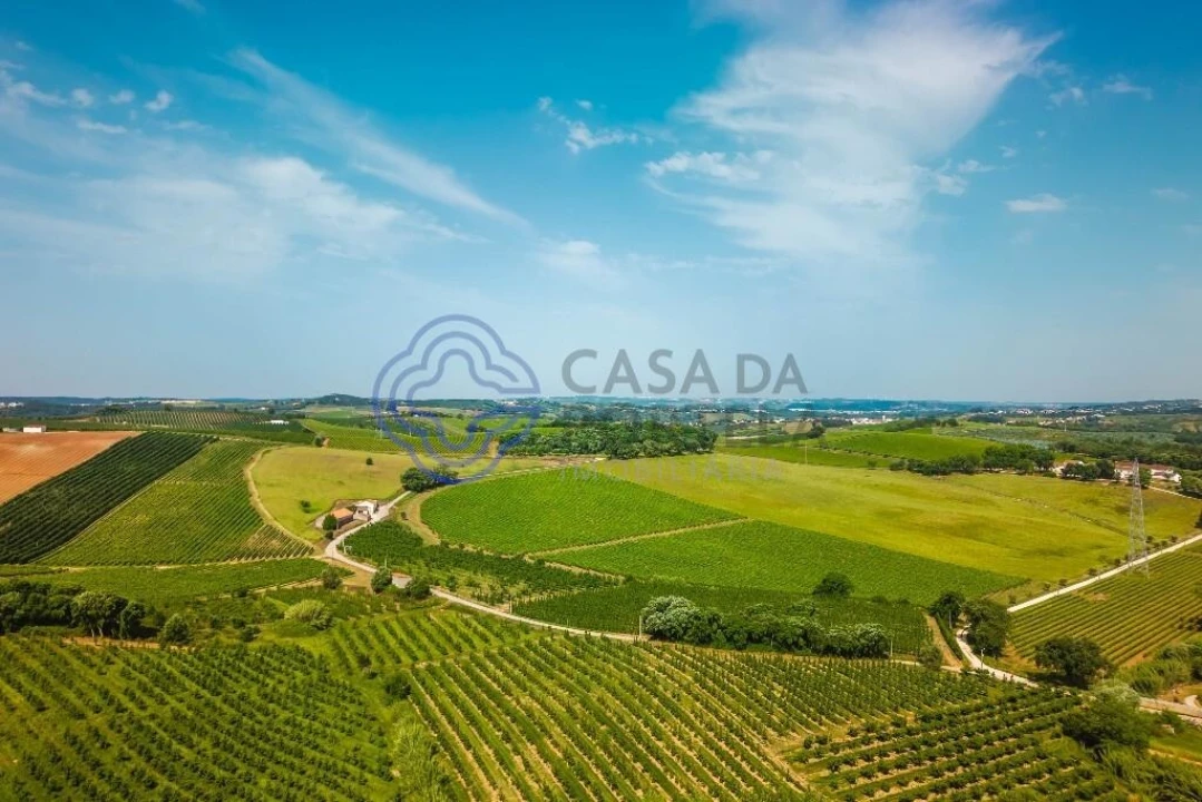 Moradia T4 para Venda em Peral Foto 70