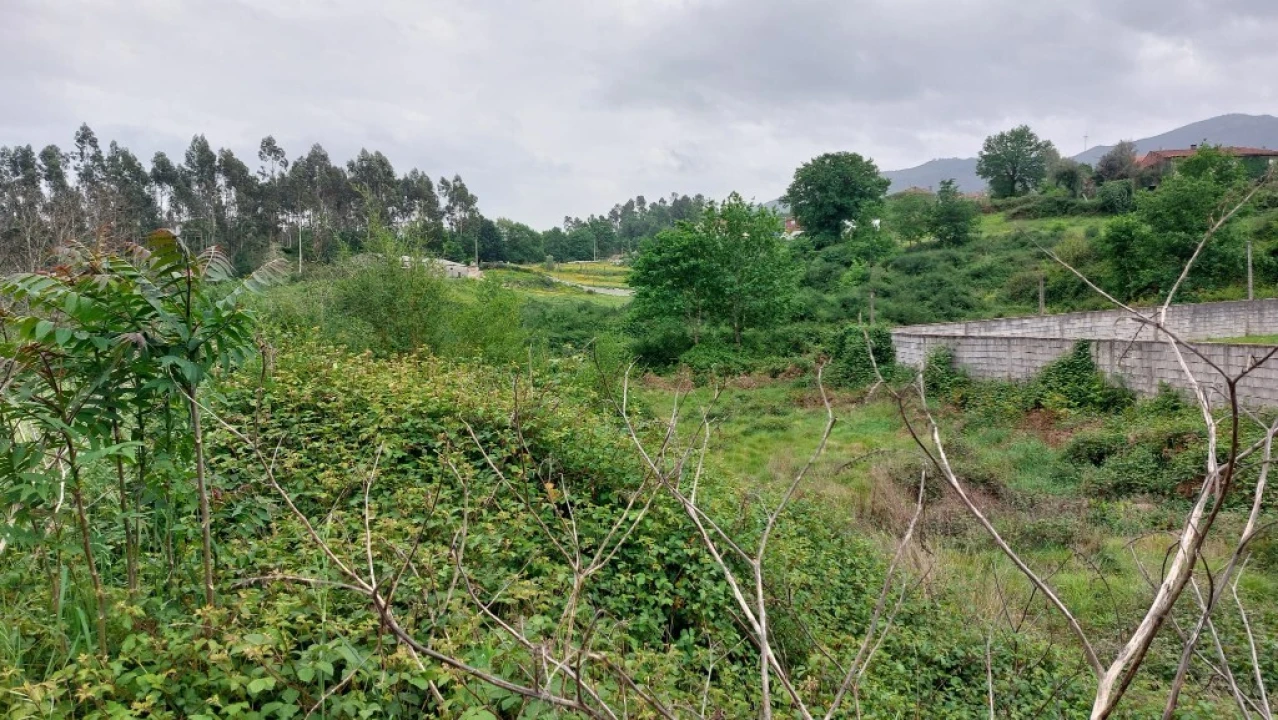 Terreno para Venda em Guilhofrei Foto 1