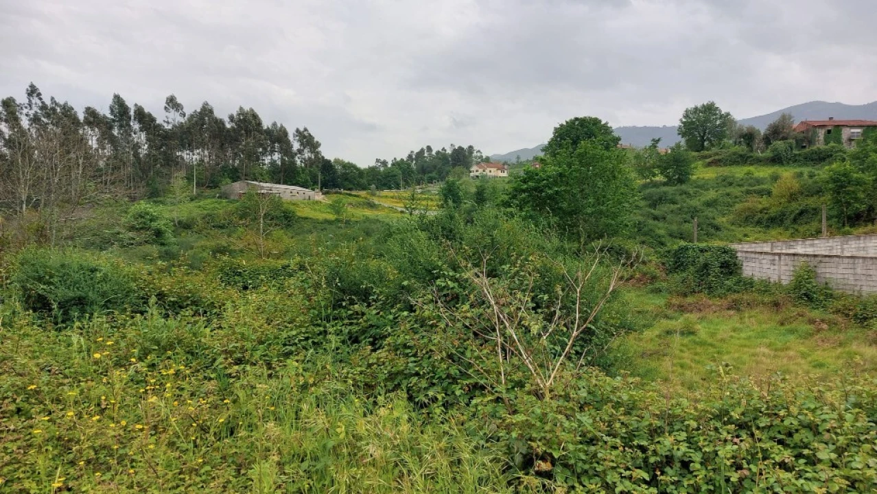 Terreno para Venda em Guilhofrei Foto 3