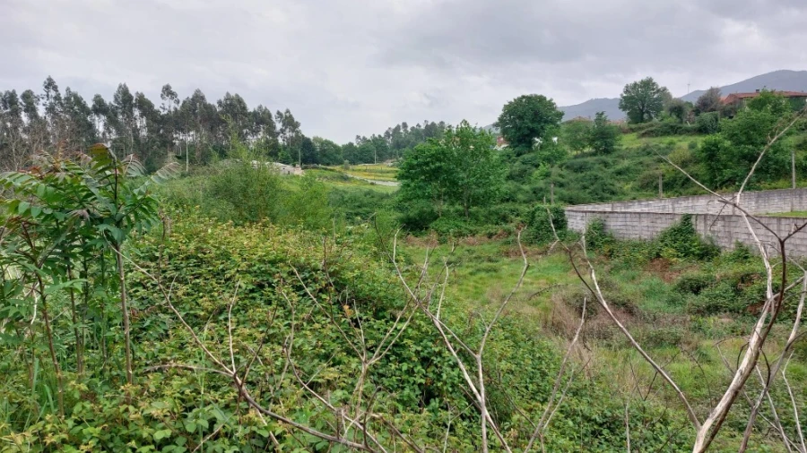 Terreno para Venda em Guilhofrei