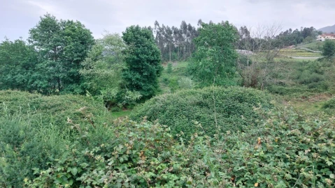 Terreno para Venda em Guilhofrei