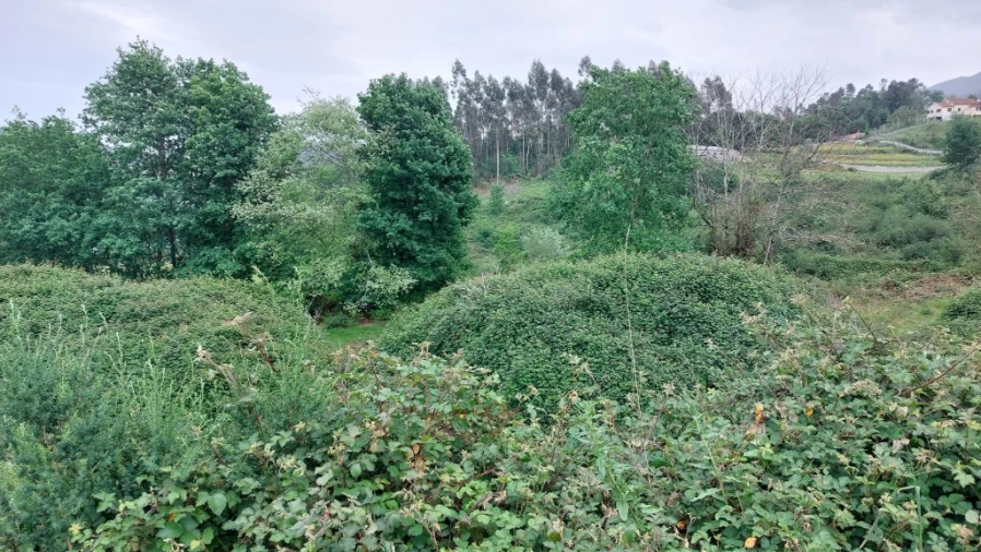 Terreno para Venda em Guilhofrei Foto 3