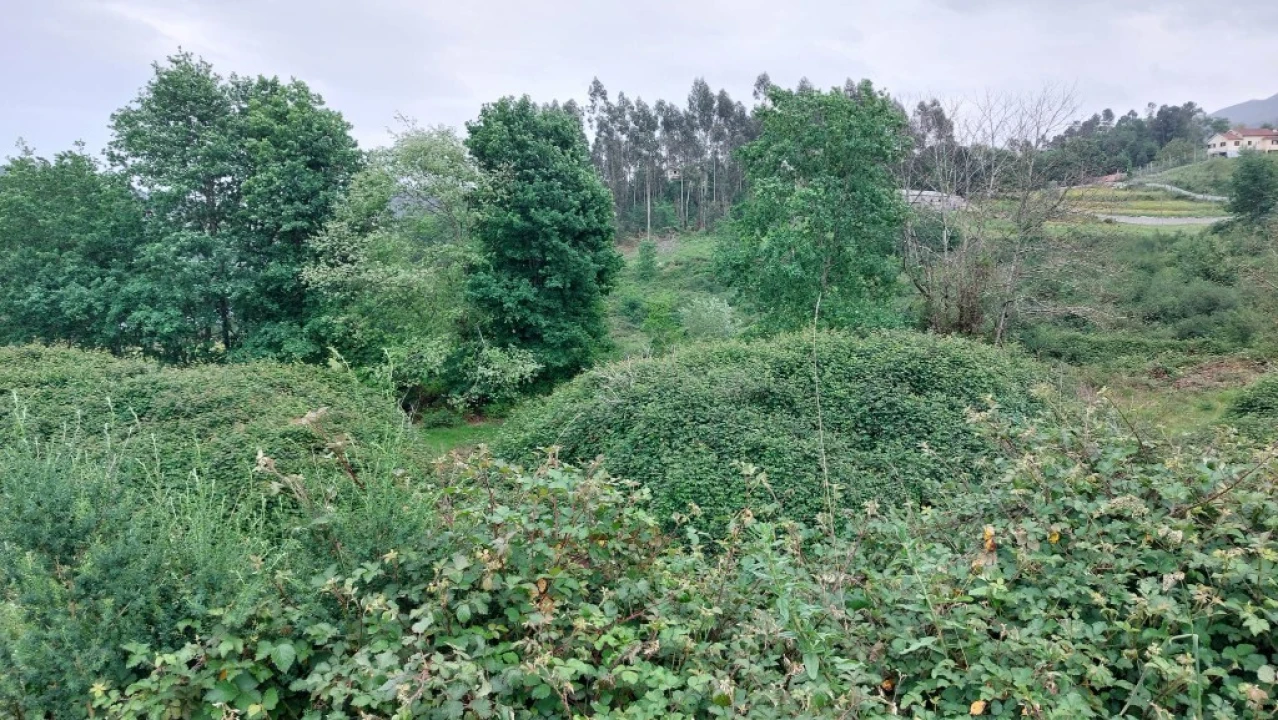 Terreno para Venda em Guilhofrei Foto 3