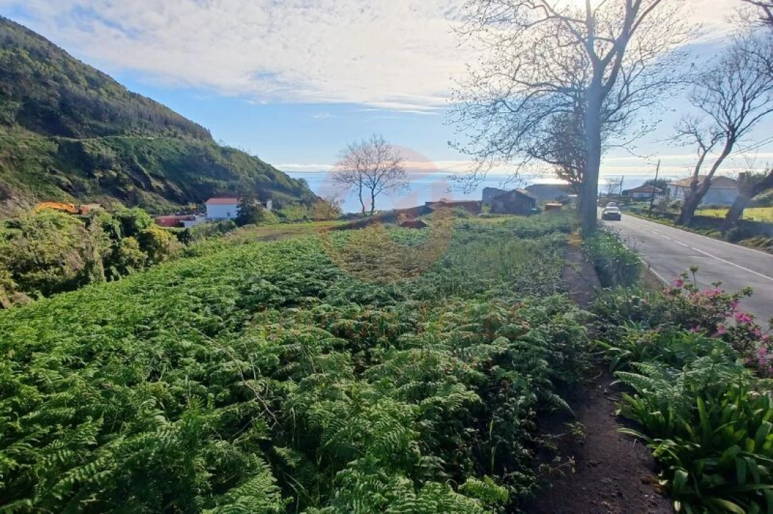 Armazém para Venda em Velas (São Jorge) Foto 17