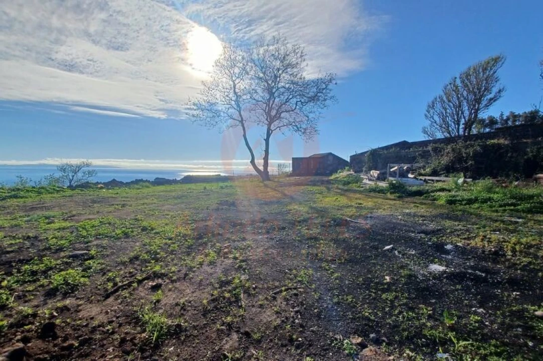 Armazém para Venda em Velas (São Jorge) Foto 1