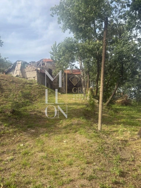 Terreno para Venda em Vila Caiz