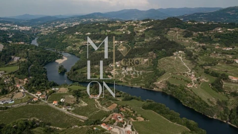 Terreno para Venda em Vila Caiz