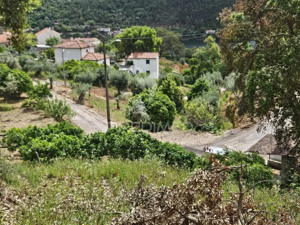 Terreno para Venda em Areias e Pias Foto 4