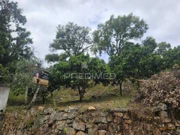 Terreno para Venda em Areias e Pias