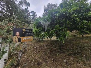 Terreno para Venda em Areias e Pias