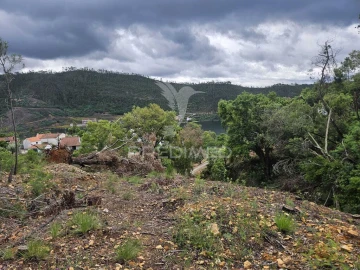 Terreno para Venda em Areias e Pias