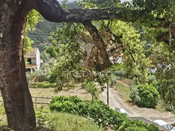 Terreno para Venda em Areias e Pias