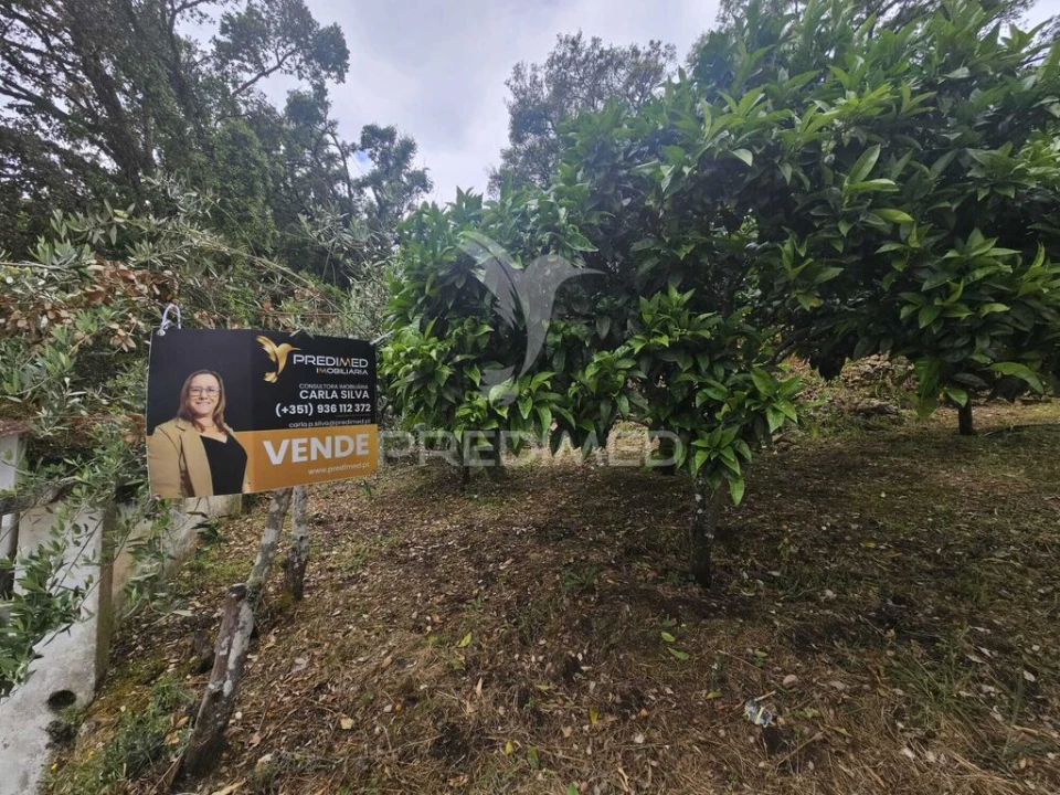 Terreno para Venda em Areias e Pias Foto 6