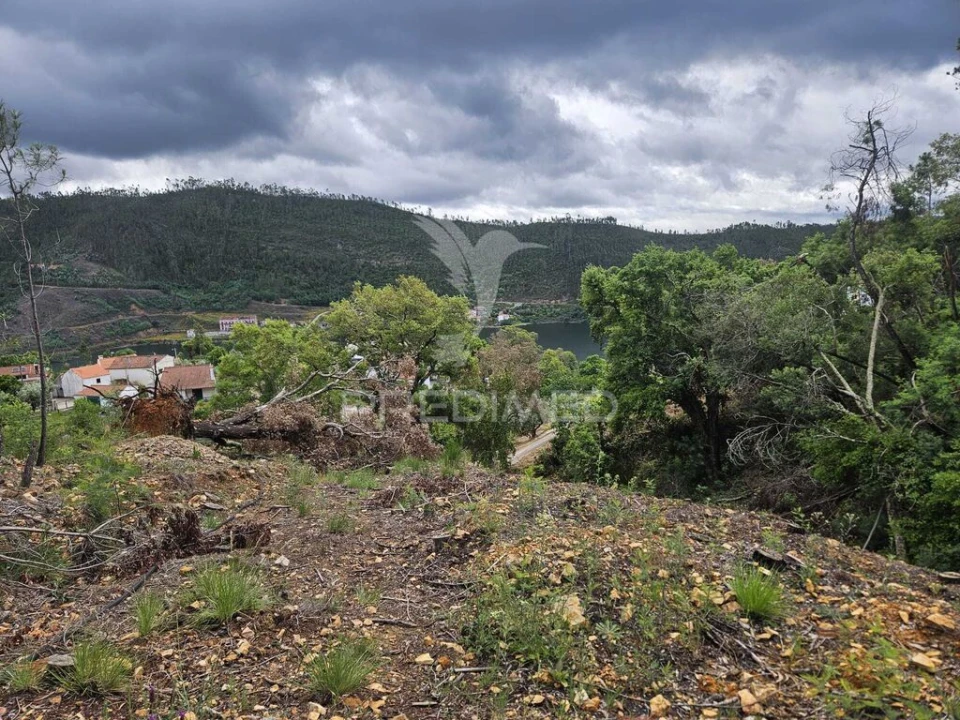 Terreno para Venda em Areias e Pias Foto 8
