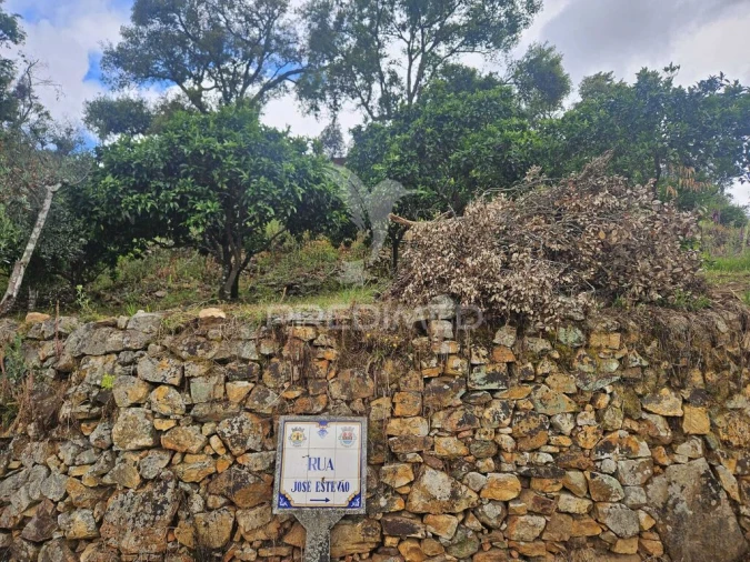 Terreno para Venda em Areias e Pias Foto 9