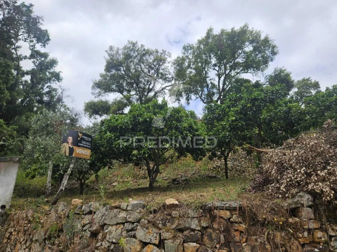 Terreno para Venda em Areias e Pias Foto 10
