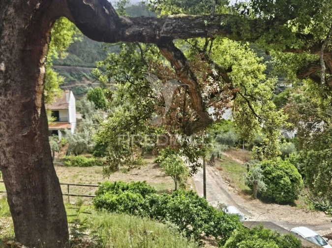 Terreno para Venda em Areias e Pias Foto 5