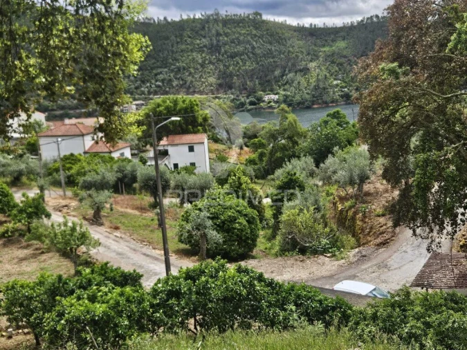 Terreno para Venda em Areias e Pias Foto 3