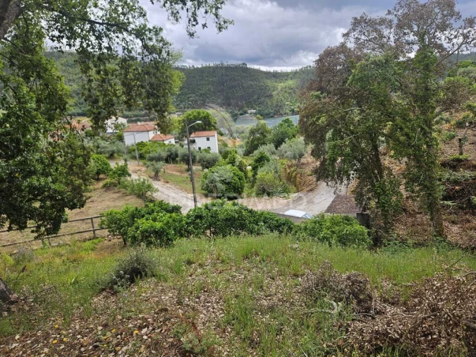 Terreno para Venda em Areias e Pias Foto 2