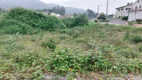 Terreno para Venda em Guilhofrei