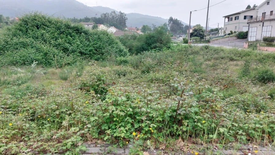 Terreno para Venda em Guilhofrei Foto 4