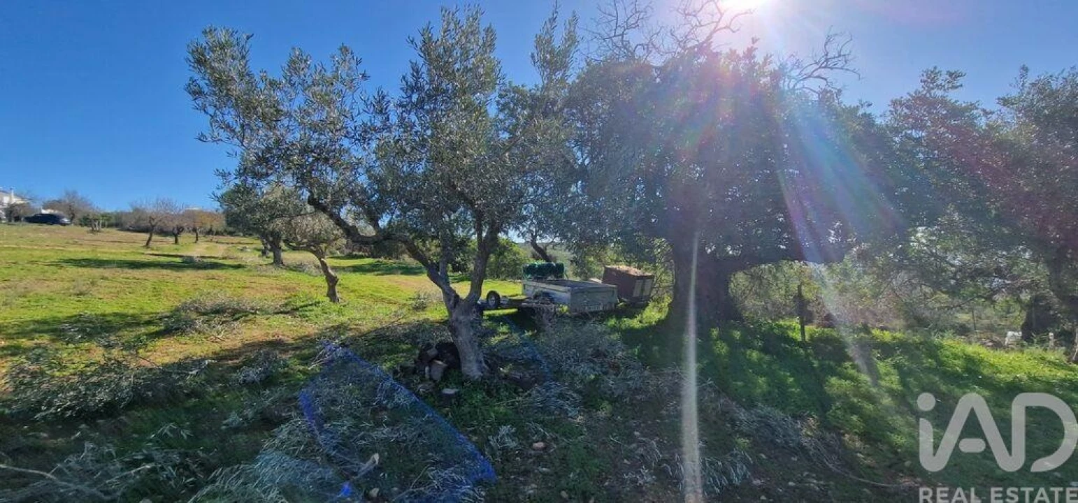 Terreno para Venda em Boliqueime Foto 28