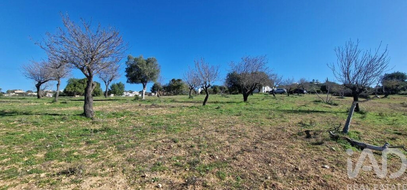 Terreno para Venda em Boliqueime Foto 36