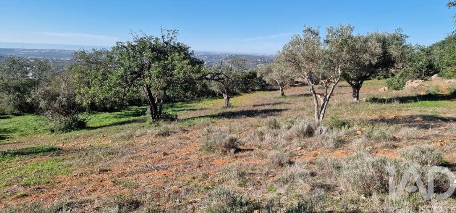 Terreno para Venda em Boliqueime Foto 20