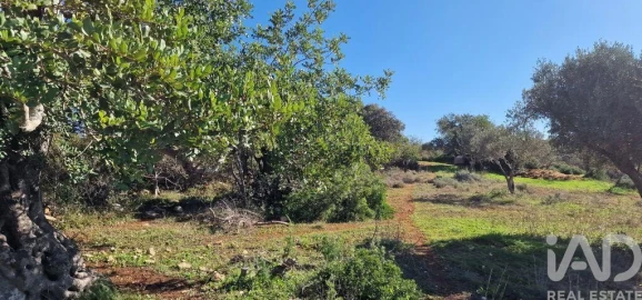 Terreno para Venda em Boliqueime