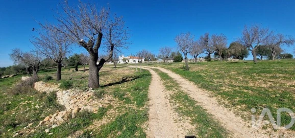 Terreno para Venda em Boliqueime