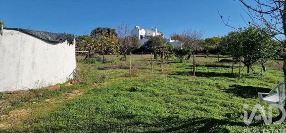 Terreno para Venda em Boliqueime