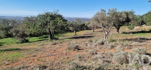 Terreno para Venda em Boliqueime