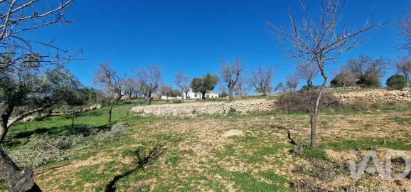 Terreno para Venda em Boliqueime