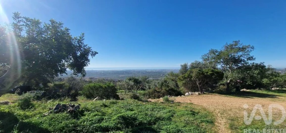 Terreno para Venda em Boliqueime