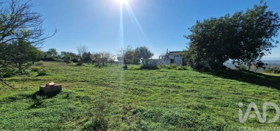 Terreno para Venda em Boliqueime