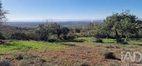 Terreno para Venda em Boliqueime