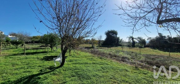 Terreno para Venda em Boliqueime