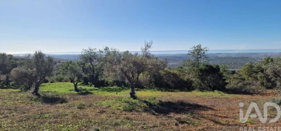 Terreno para Venda em Boliqueime