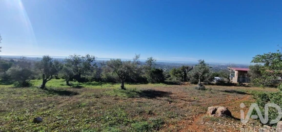 Terreno para Venda em Boliqueime