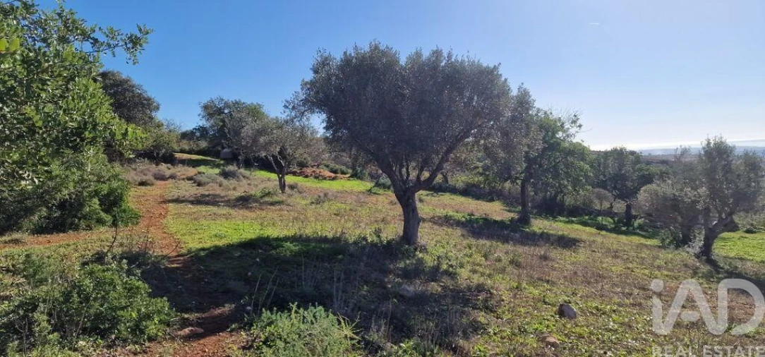 Terreno para Venda em Boliqueime Foto 24