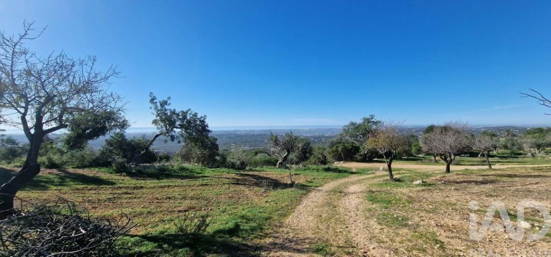 Terreno para Venda em Boliqueime Foto 37
