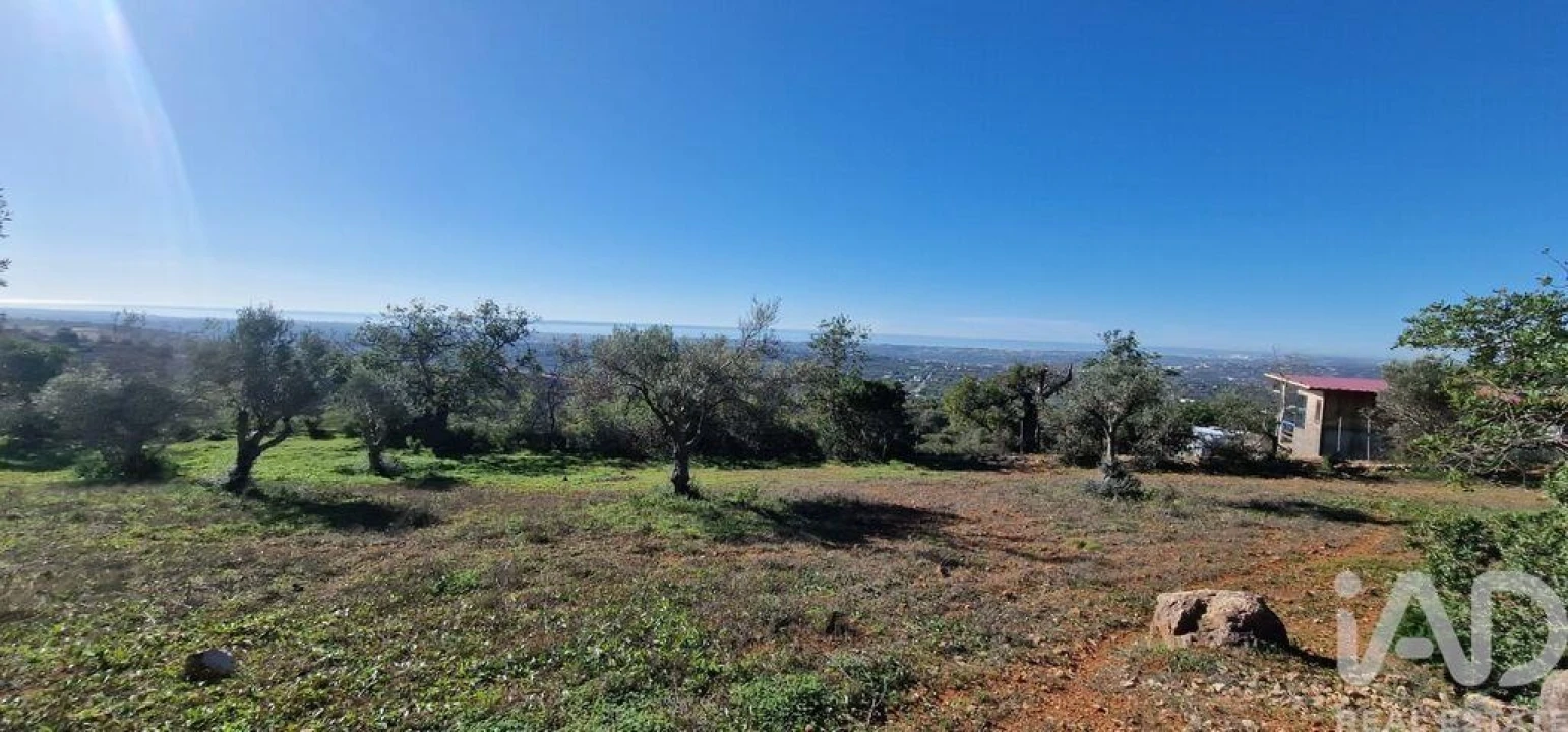 Terreno para Venda em Boliqueime Foto 21