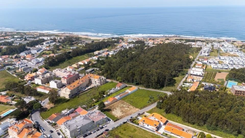 Terreno para Venda em Madalena
