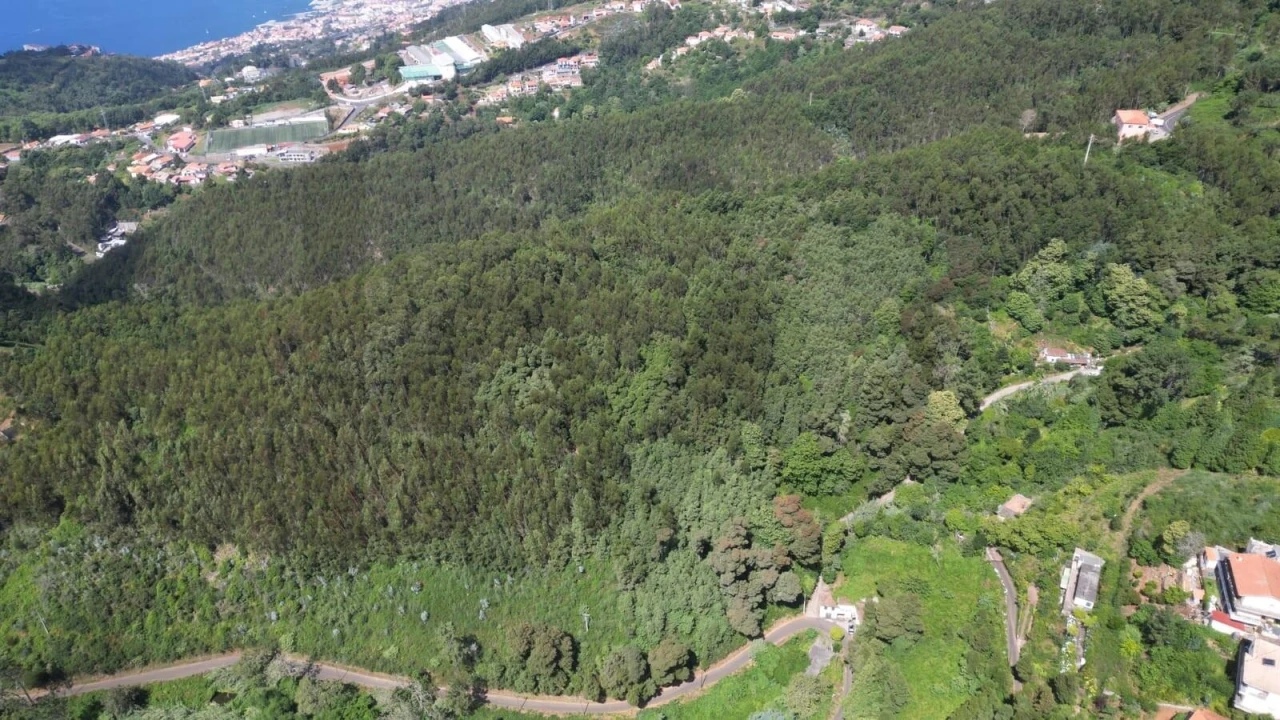 Terreno para Venda em Camacha Foto 22