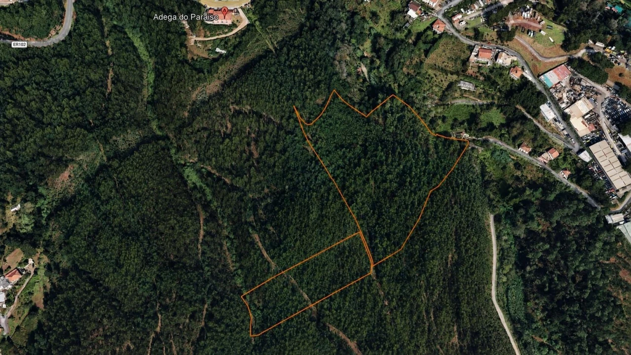 Terreno para Venda em Camacha Foto 29