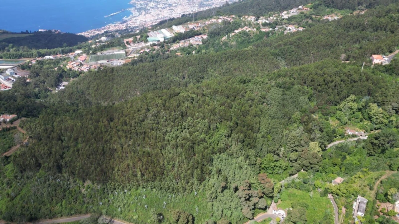 Terreno para Venda em Camacha Foto 15