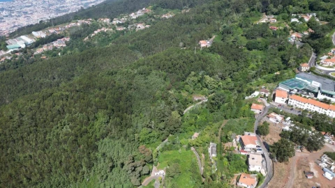 Terreno para Venda em Camacha