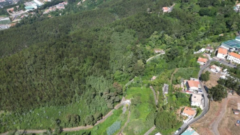 Terreno para Venda em Camacha