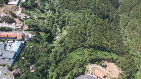 Terreno para Venda em Camacha