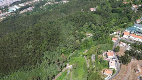 Terreno para Venda em Camacha